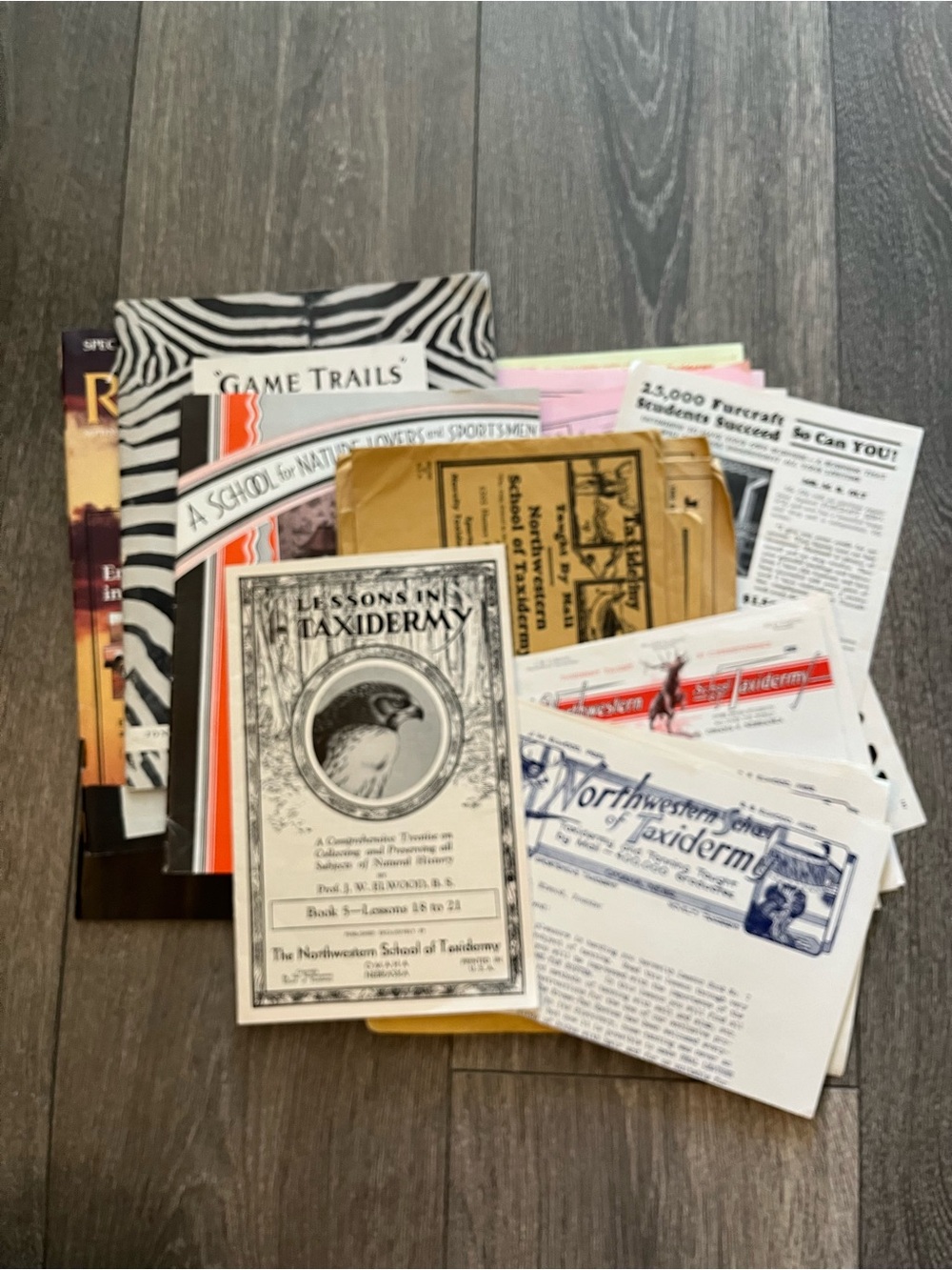 Large Vintage (1932+) Northwestern School of Taxidermy Ephemera Lot